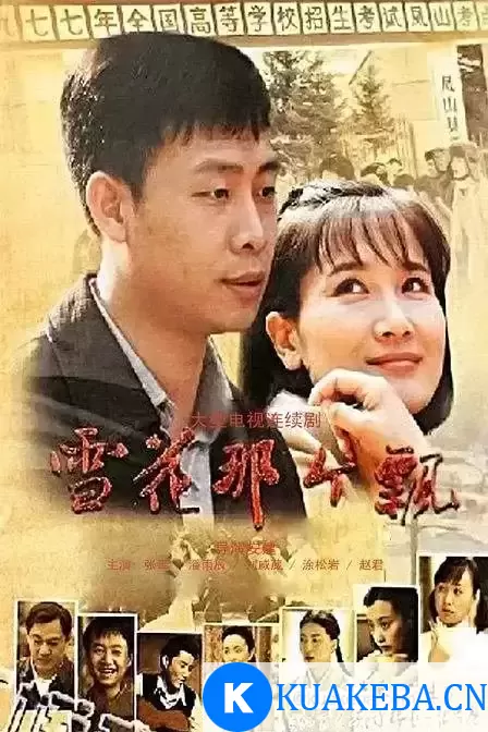 雪花那个飘 (2010) 国语中字 全38集