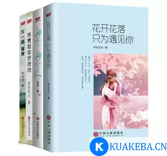 青春系列小说（套书4本） [﻿套装合集] [pdf+全格式] – 夸克网盘吧kuakeba.cn