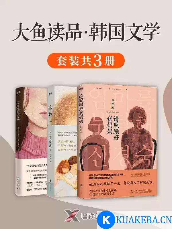 大鱼读品·韩国文学（套装共3册）  [pdf+全格式] – 夸克网盘吧kuakeba.cn