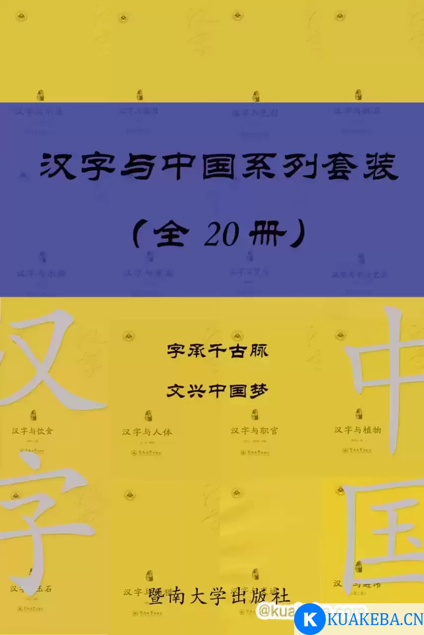 汉字与中国系列套装（共 20 册）  [pdf+全格式]