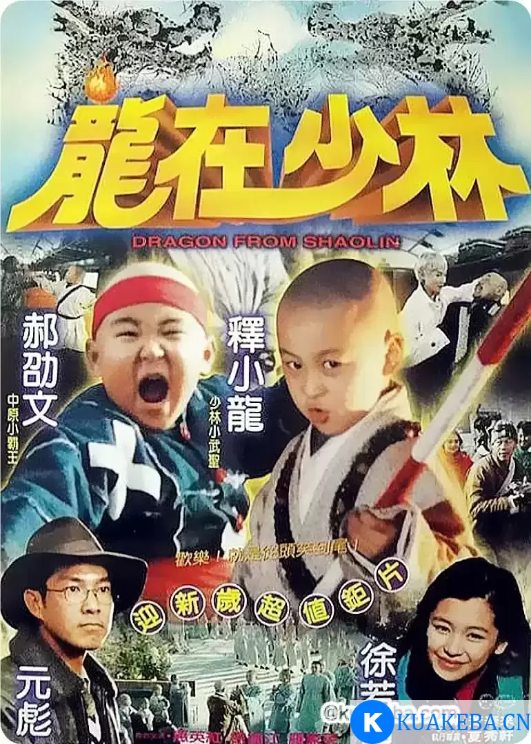 龙在少林 龍在少林 (1996)