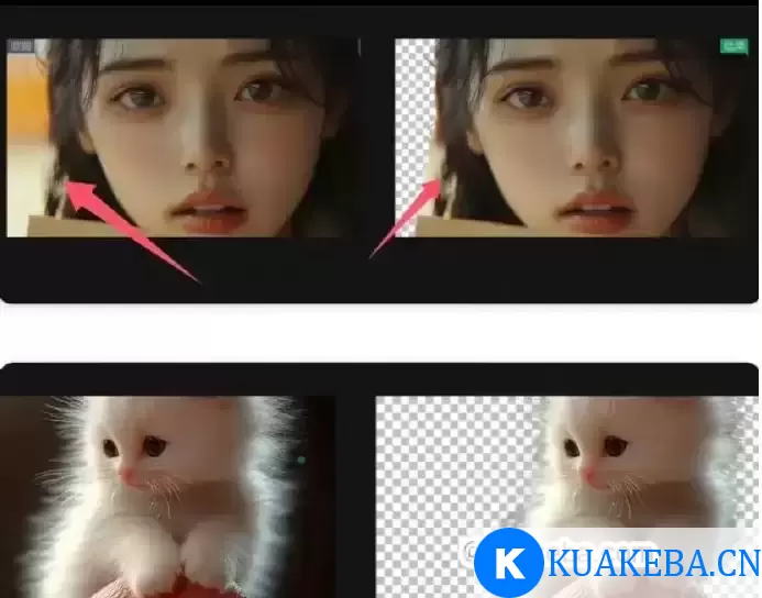 《AI抠图软件》（吾爱大佬开发）爆好用的 – 夸克网盘吧kuakeba.cn
