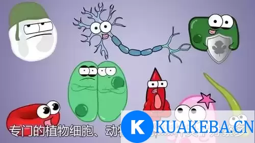 看动画趣味学初中生物