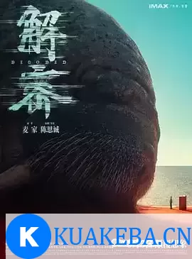 解密（2024）1080P  SDR 高码率 流媒体正式版