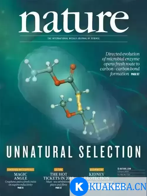 《Nature》自然杂志 全球权威科研期刊   十年PDF合订本  稀缺资源