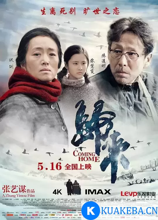 归来 (2014) 1080P 蓝光Remux 国语中字