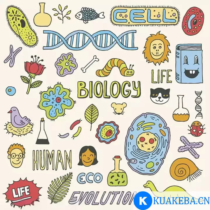 【科普动画】你应该知道的生物学常识 – 夸克网盘吧kuakeba.cn