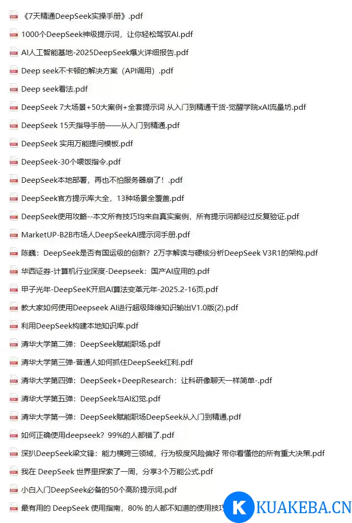 DeeSeek资料包-全网最全deepseek资料包 pdf格式